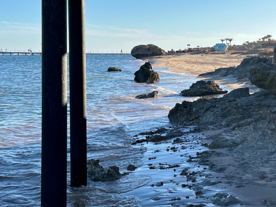 Отдых в Египте зимой 2024 5.jpg