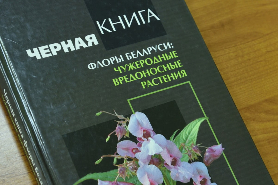 Гербарий Института экспериментальной ботаники 4.jpg Гербарий Института экспериментальной ботаники 4.jpg