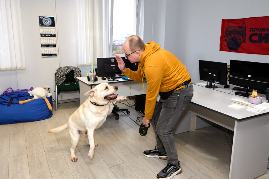 Мтбанк звери 2.jpg