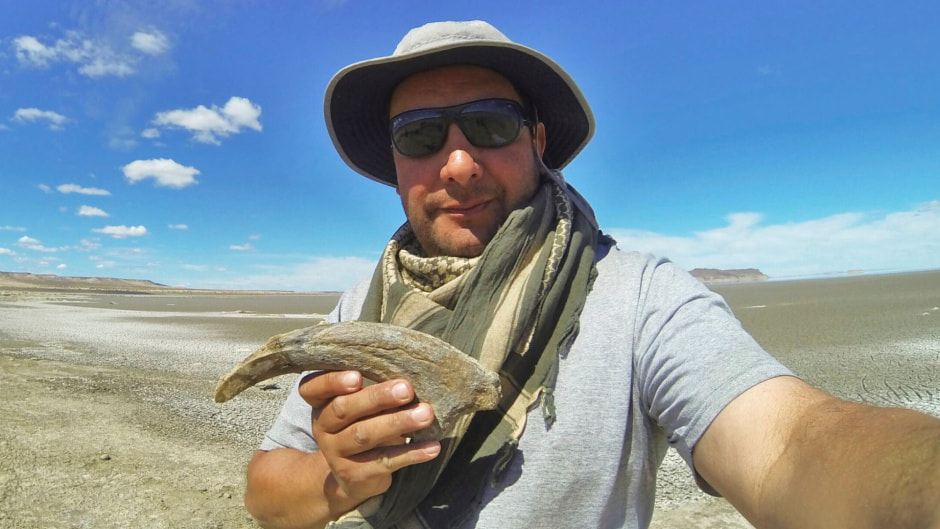 Коготь динозавра