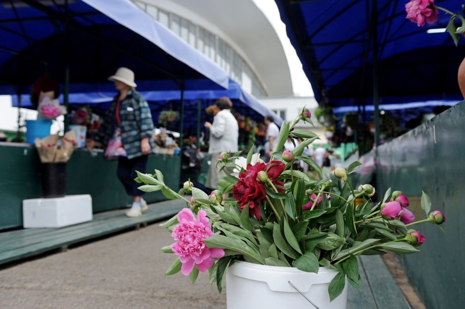 Продаем пионы на Комаровке 13.jpg