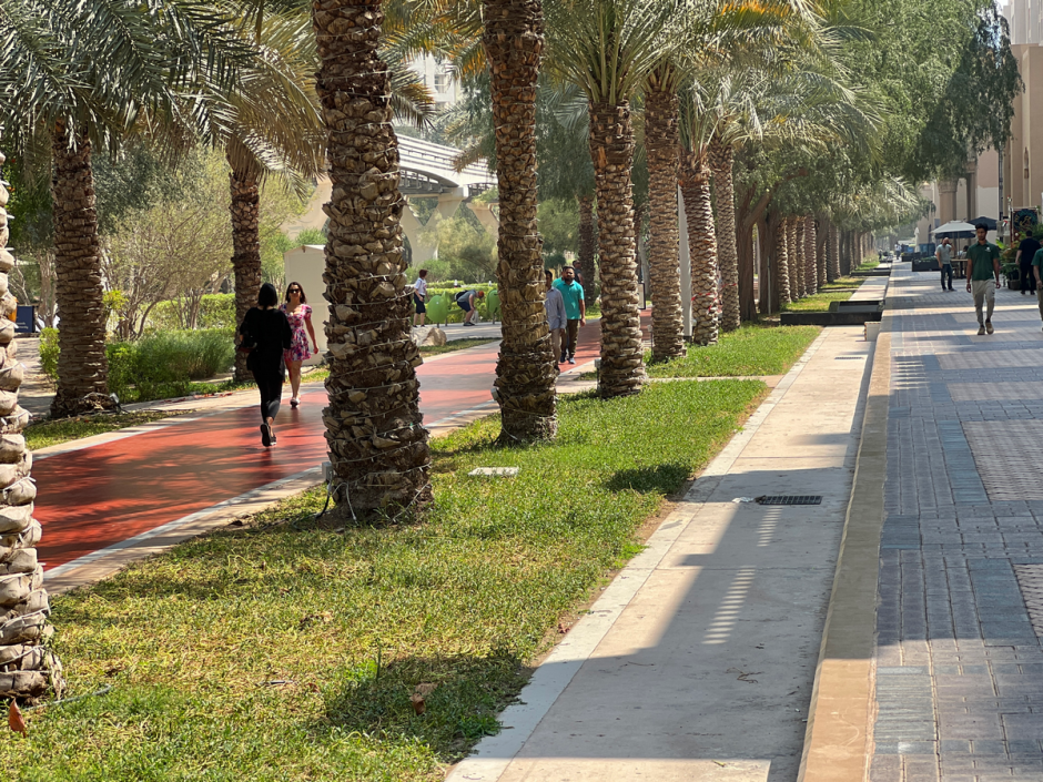 дубаи015.png дубаи015.png