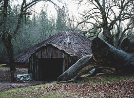 Житель Жлобина прятался в лесу из-за 2 тыс. рублей – что за история?