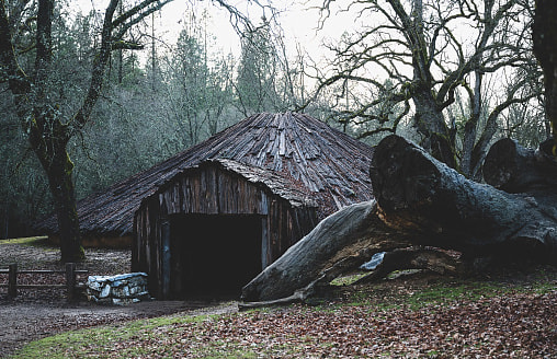 Житель Жлобина прятался в лесу из-за 2 тыс. рублей – что за история?