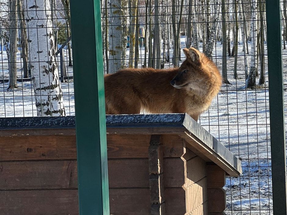 Экопарк Акварель 26.jpg Экопарк Акварель 26.jpg