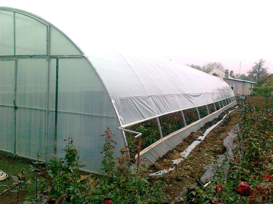 теплица3.jpg