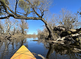 Увидят ли белорусы в этом году “море Геродота”? В Белгидромете дали прогноз