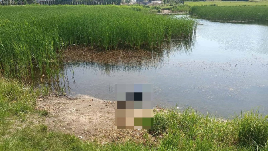 Озеро в Мостах.jpg