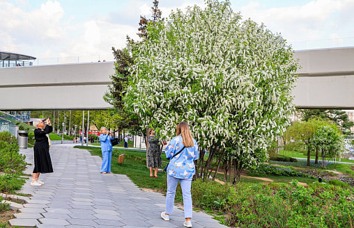 Как белорусам за 5 дней отпуска получить 11 дней отдыха? Вот 3 формулы, которые работают в апреле