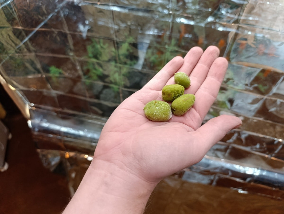 Парень построил дом из глины 28.jpg