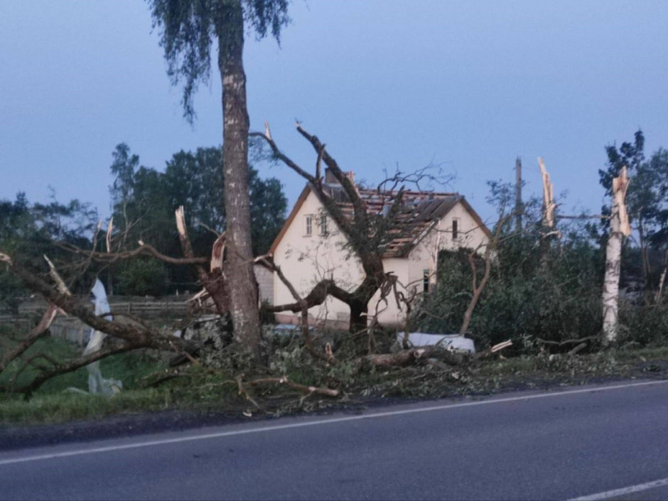 Непогода, поваленные деревья.jpg