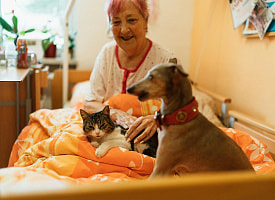 Можно ли в Беларуси оставить наследство собаке или завещать кому-то своего питомца?