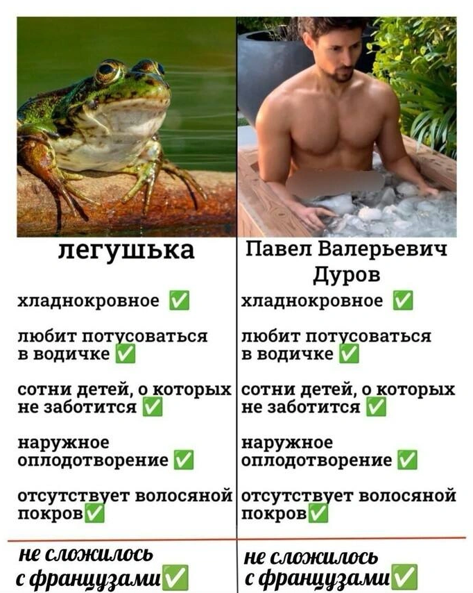 мем дурова.png