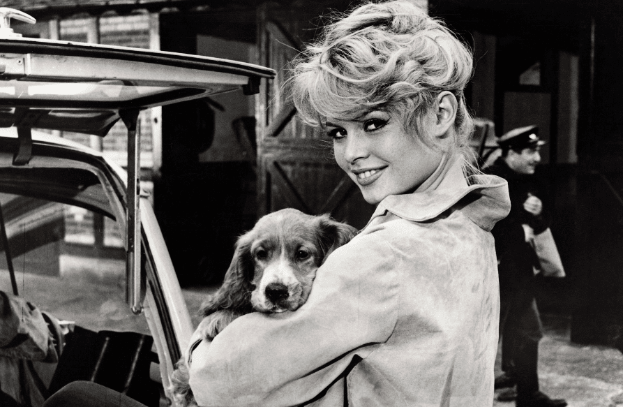 Снимок экрана 2024-09-27 164340.png