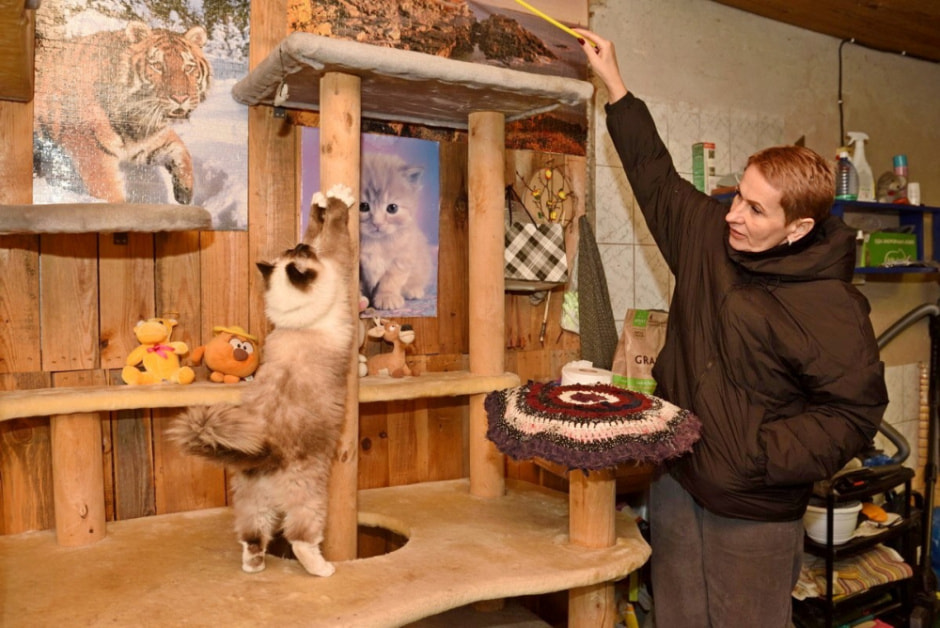 Зоогостиница 4 лапы 21.jpg