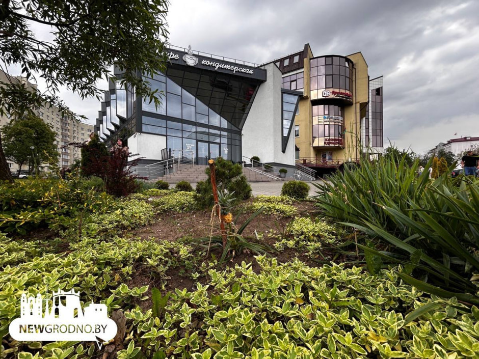 Ананас в Гродно на клумбе.jpg