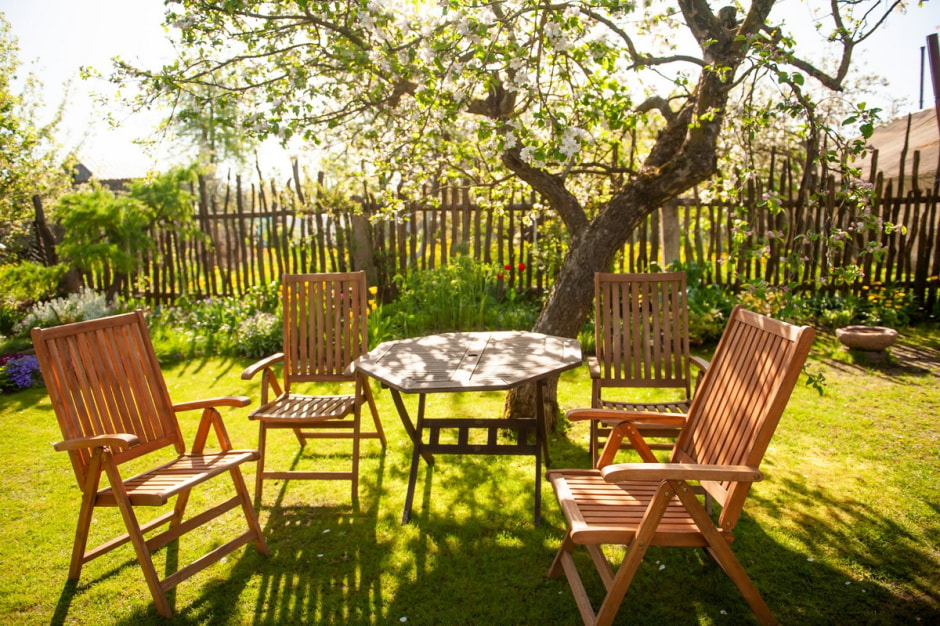 Семья Шокало и экзотический сад 2.jpg