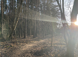 Первый день весны порадует белорусов теплом: где прогреет до +15°С?