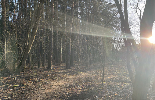 Первый день весны порадует белорусов теплом: где прогреет до +15°С?