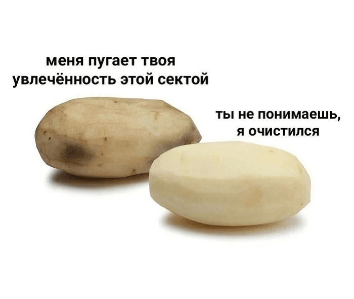картофель мем секта