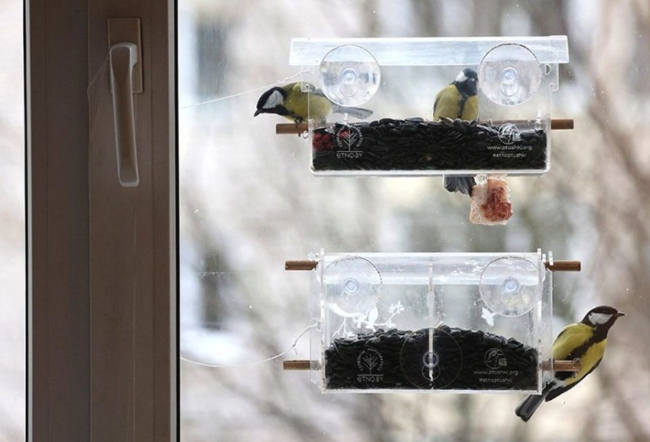 Подкармливаем птиц зимой 5.jpg