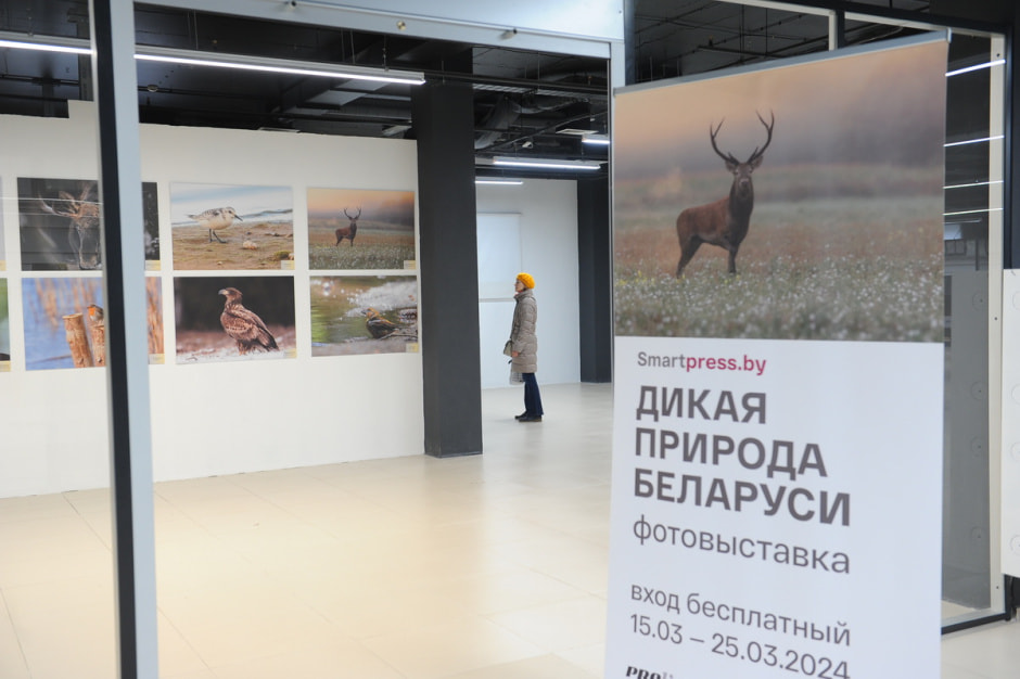 выставка Дикая природа Беларуси.JPG