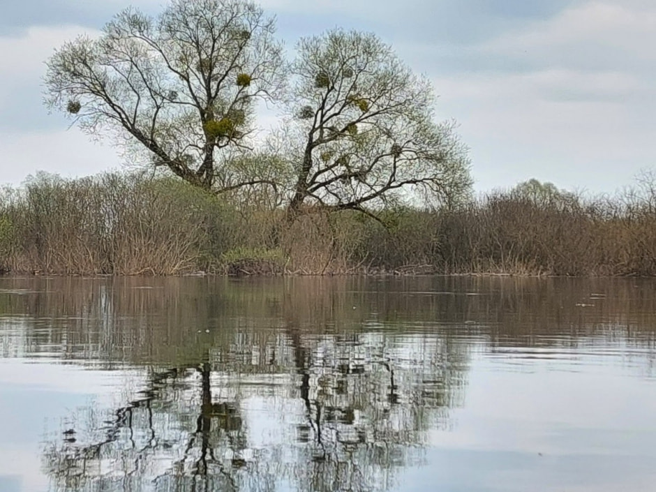 Сплав по морю Геродота 7.jpg Сплав по морю Геродота 7.jpg