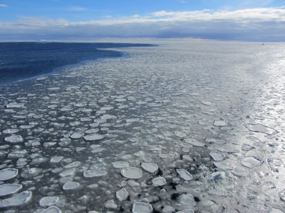Блинчатый лёд в Антарктике