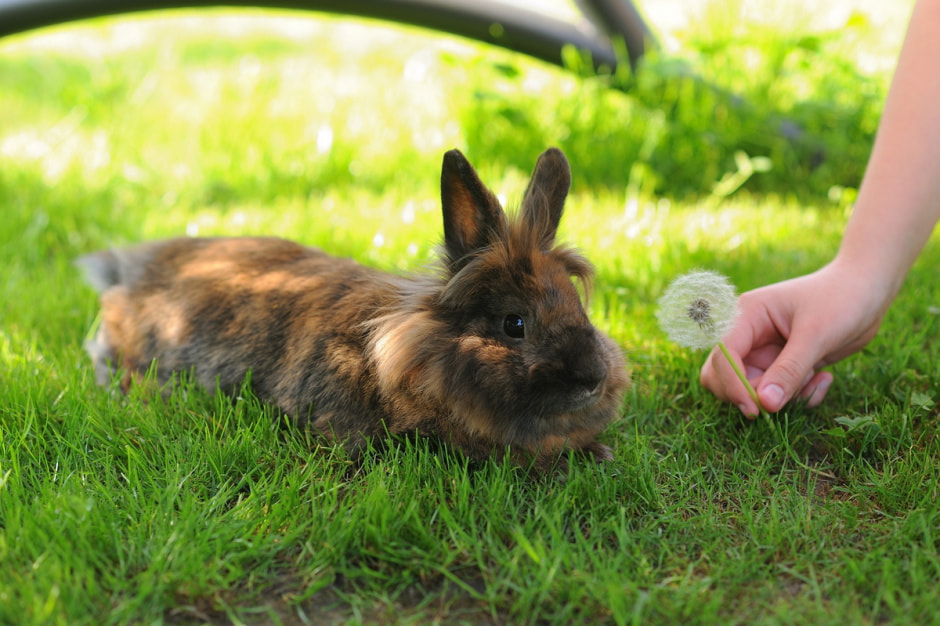 Какой будет погода на следующей неделе — с 19 по 25 августа Прогноз от синоптика Рябова.jpg Какой будет погода на следующей неделе — с 19 по 25 августа Прогноз от синоптика Рябова.jpg