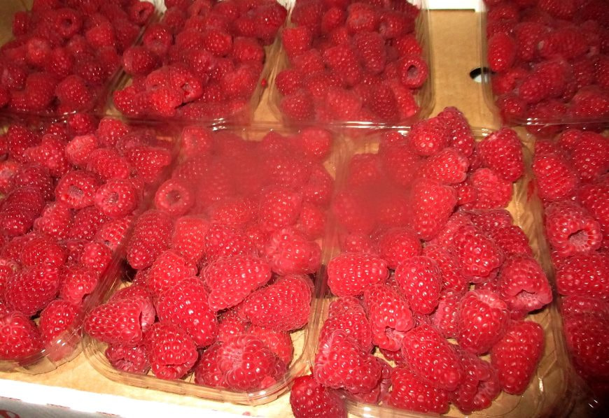 Малина белорусская