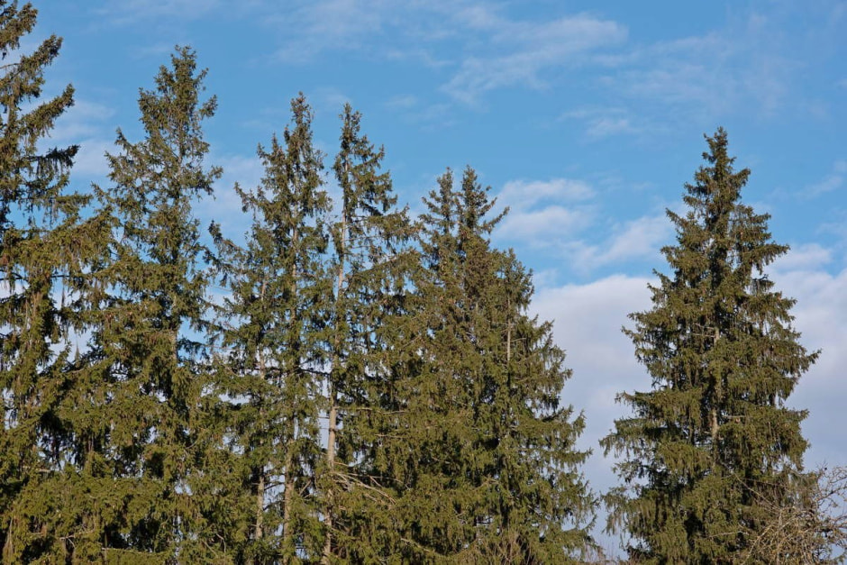 Стильный дом на хуторе Ананишки 13.jpg