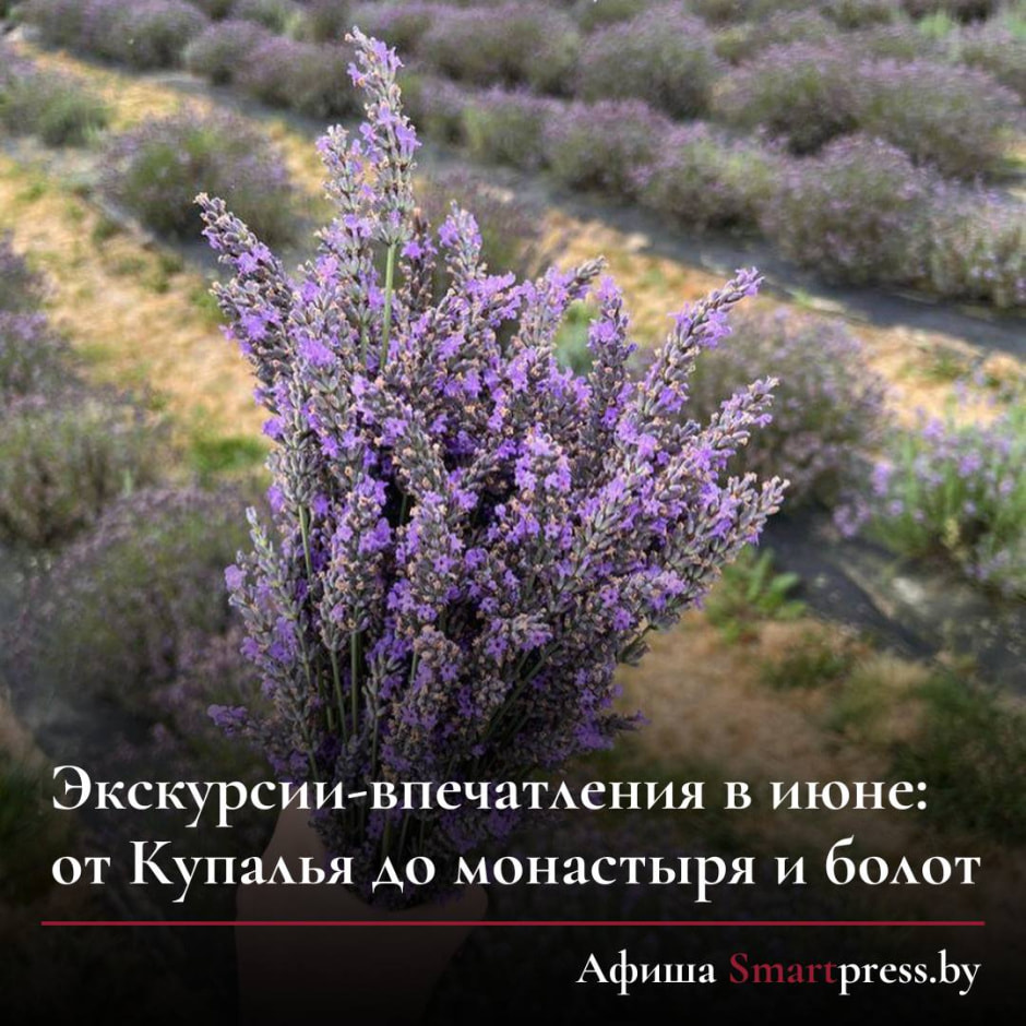 photo_2023-06-15_21-42-09 (2).jpg