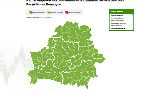 Все леса Беларуси снова открыты для посещения