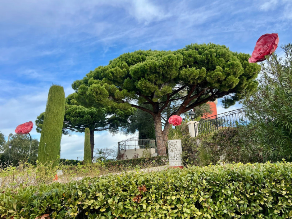 Виноградники Ниццы 3.jpg