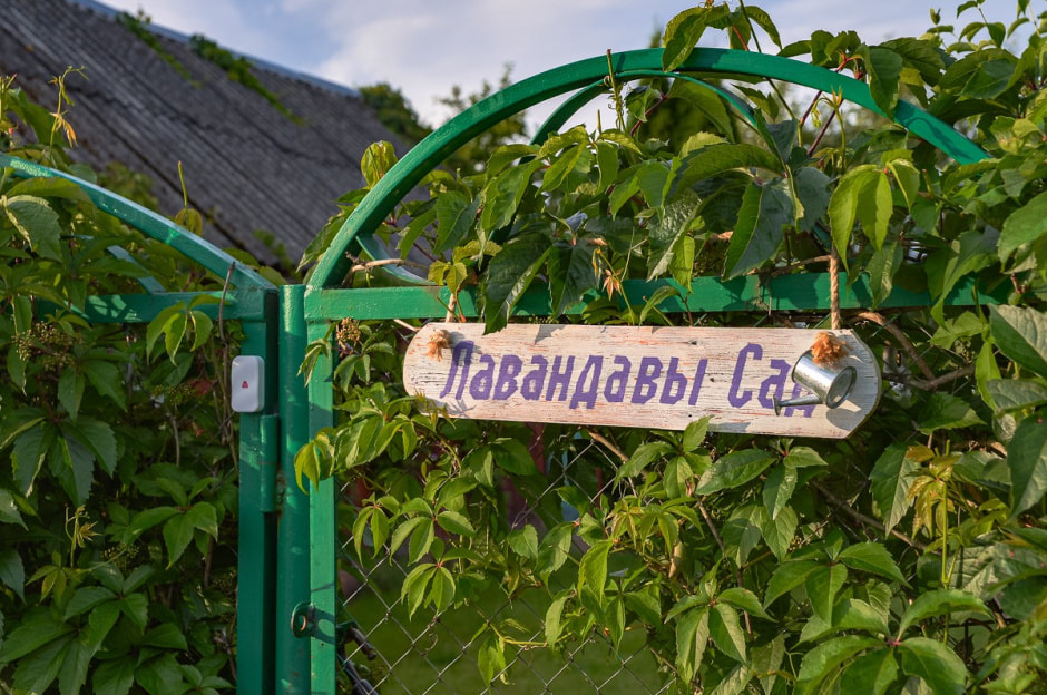 Лавандовый сад в Барово 2.jpg