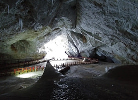 Новая угроза: ученые нашли древнюю бактерию - устойчивую к современным антибиотикам