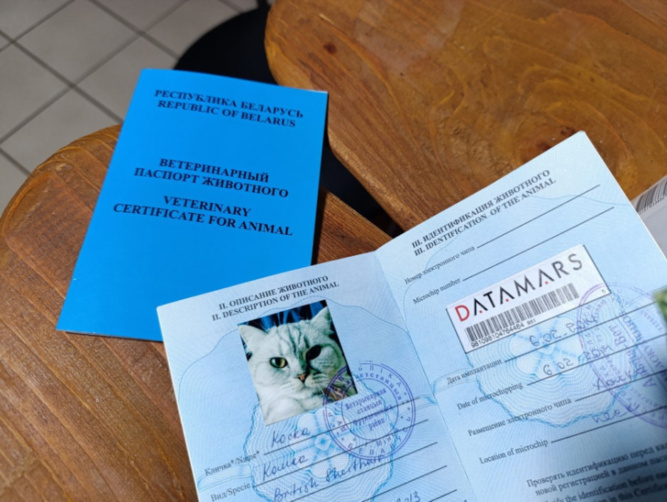 Зоогостиница 4 лапы 14.jpg