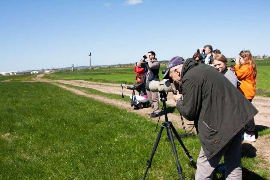 Наблюдаем за сусликами 11.jpg