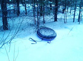 Двое ребят с разгону влетели в дерево – снова виноваты тюбинги