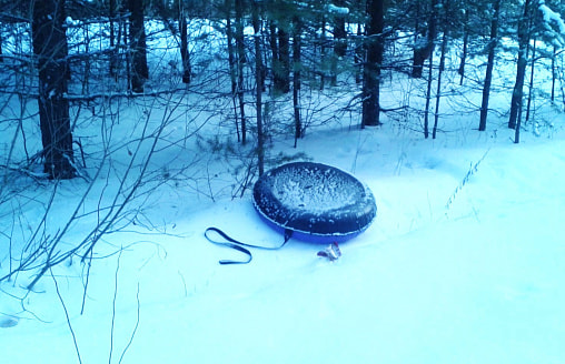 Двое ребят с разгону влетели в дерево – снова виноваты тюбинги