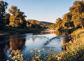 Белорусы пожаловались на загрязнение Дитвы. Минприроды взяло пробы воды в Лидском районе