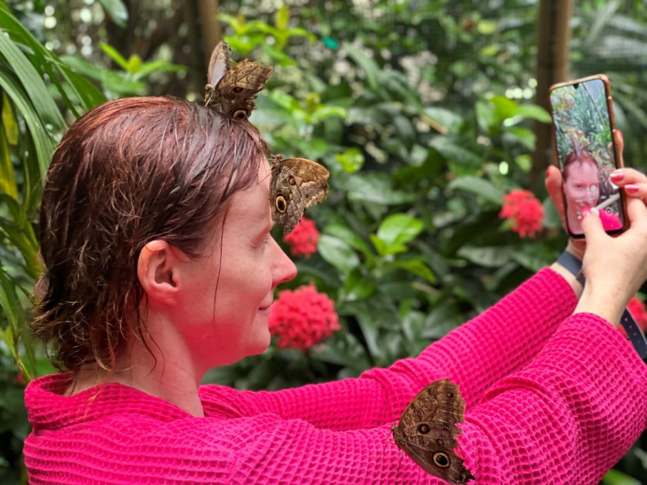 Крытый тропический лес 12.jpg