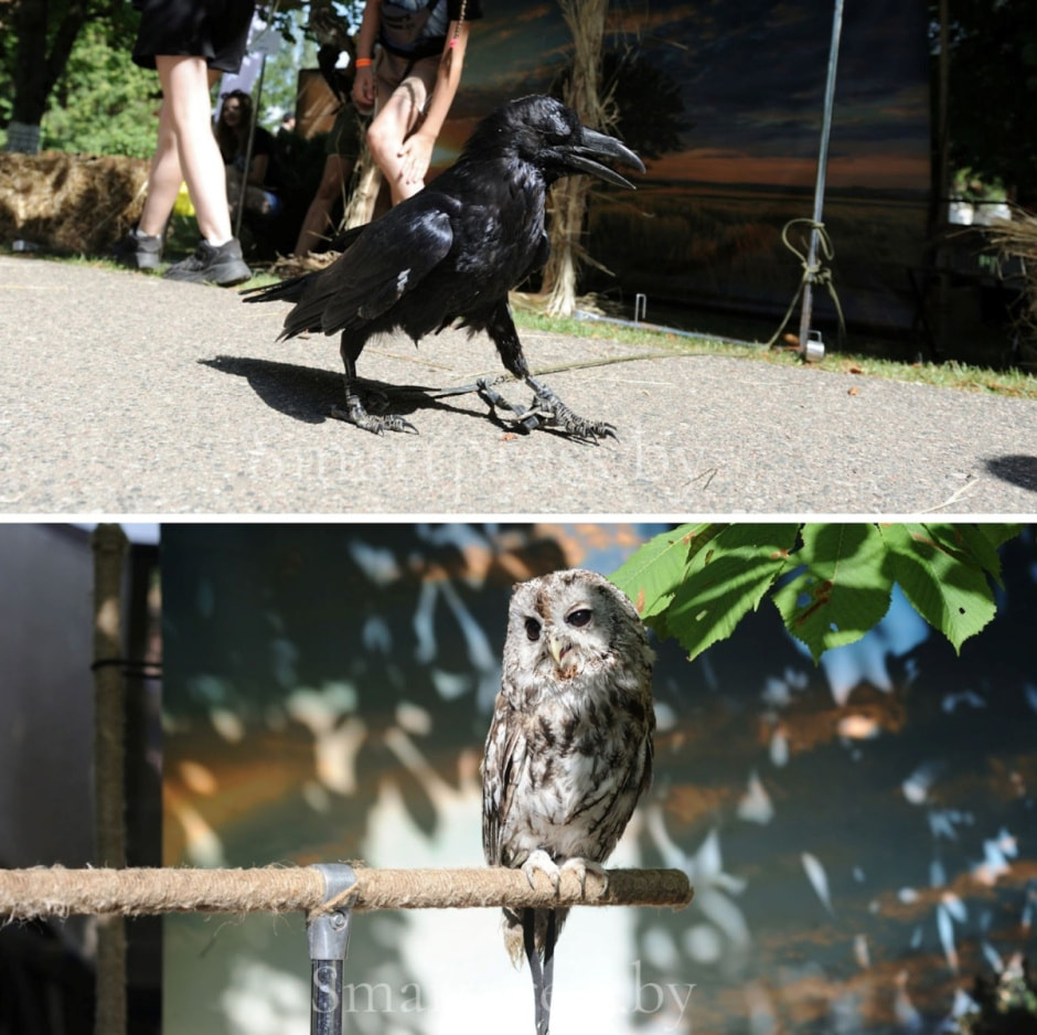 Как прошел фестиваль Наш Грюнвальд-2024 18.jpg