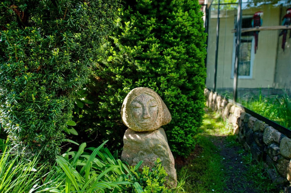 Семья Шокало и экзотический сад 19.jpg