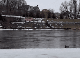 “Я упал в Неман с вещами”. В Гродно двое подростков едва не утонули, пытаясь сделать красивые фото