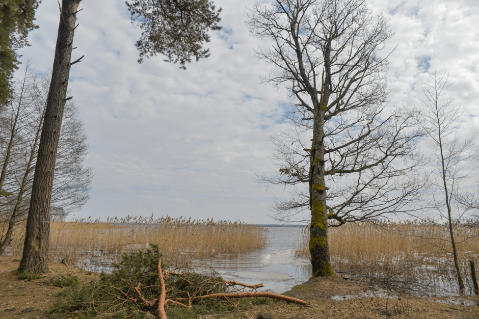 Прогулка с орнитологом 12.png