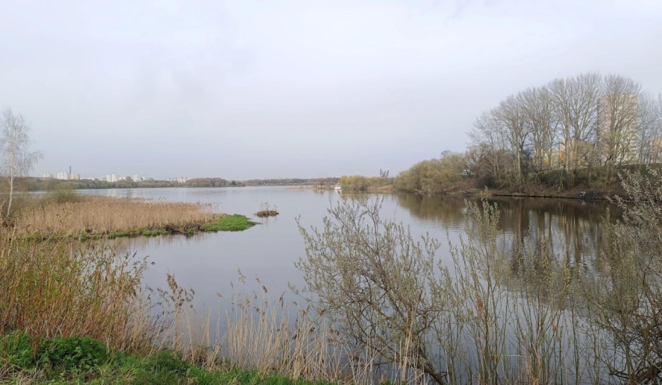 Топ-5 экотроп Минска 34_Чомга-остров.jpg