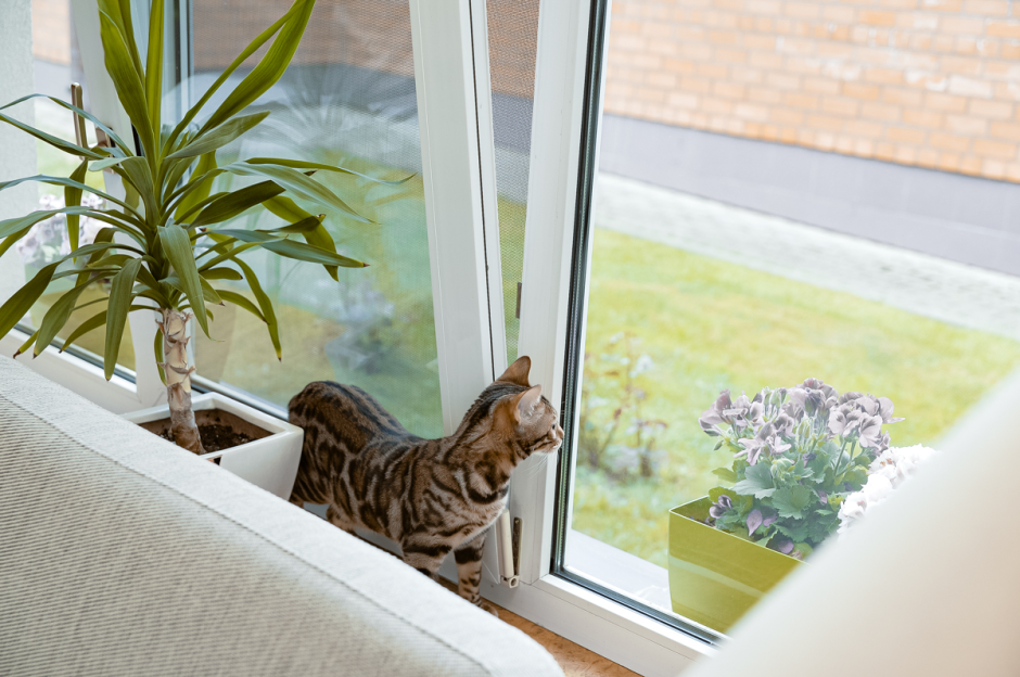 Поверенный в делах Франции Людовик Руайе 26.png