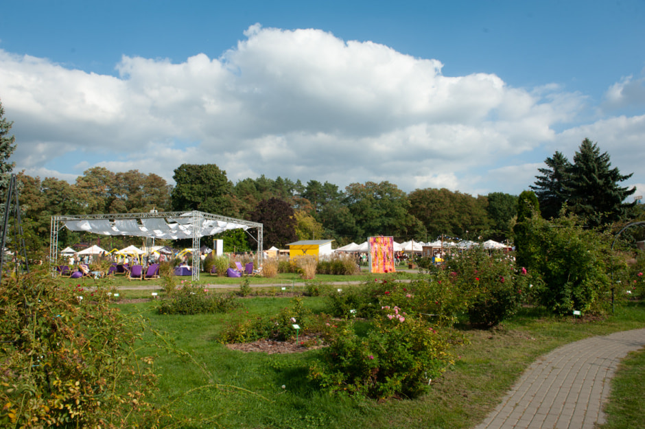 вулица ежа 019.jpg