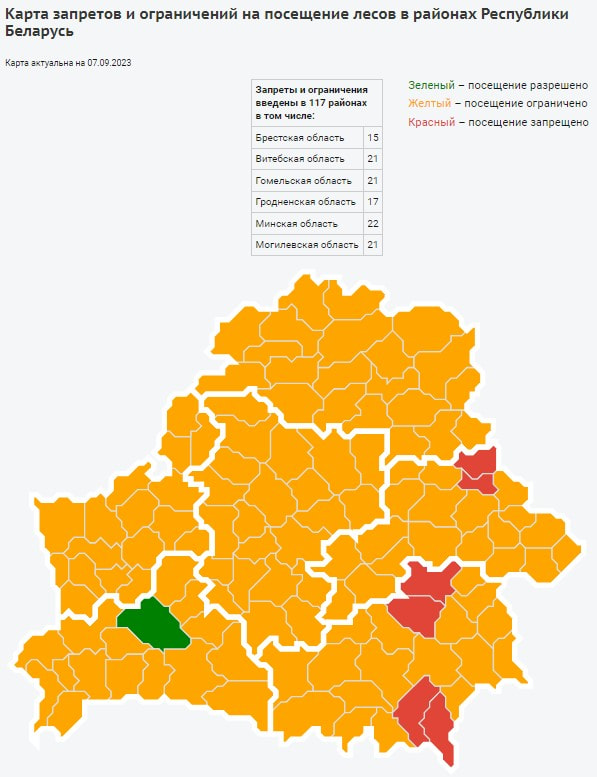 Ограничения в лесу.jpg